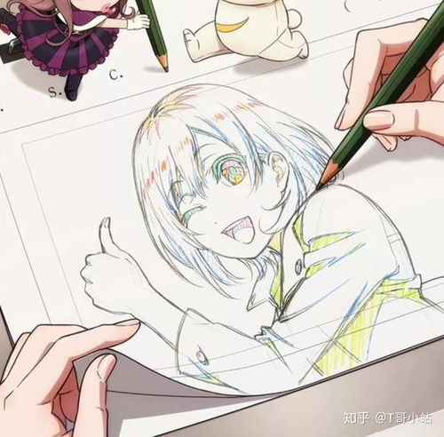 原创动画 动画党的最后一片乐土